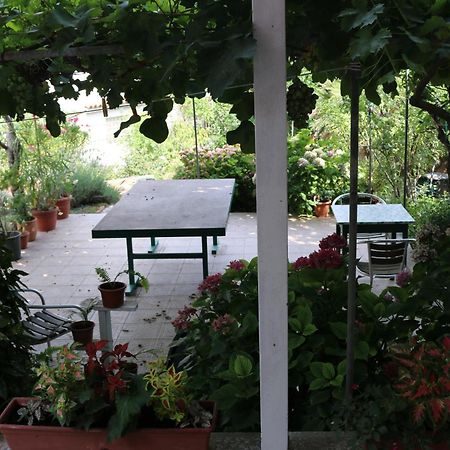 Villa Katarina Losinj Island Mali Lošinj Exterior foto